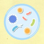 Wie erkenne ich Viren und Bakterien?