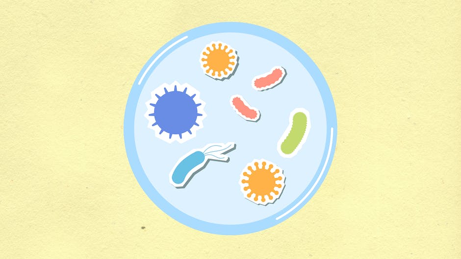 Wie erkenne ich Viren und Bakterien?
